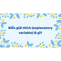 Biến giải thích (explanatory variable) là gì ?