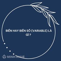 Biến hay biến số (variable) là gì ?