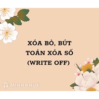 Xóa bỏ, bút toán xóa số (WRITE OFF) là gì?