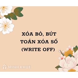Xóa bỏ, bút toán xóa số (WRITE OFF) là gì?