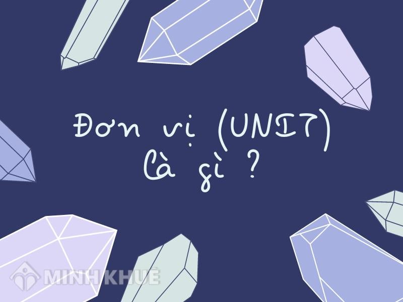 Đơn vị unit có tác dụng gì trong kinh tế?
