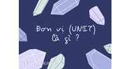 Đơn vị (UNIT) là gì? Đặc điểm, vai trò và ứng dụng đơn vị