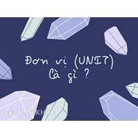 Đơn vị (UNIT) là gì? Đặc điểm, vai trò và ứng dụng đơn vị