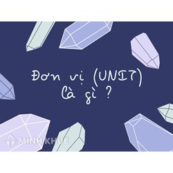 Đơn vị (UNIT) là gì? Đặc điểm, vai trò và ứng dụng đơn vị