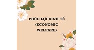 Phúc lợi kinh tế (economic welfare) là gì ?
