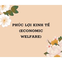 Phúc lợi kinh tế (economic welfare) là gì ?