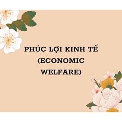 Phúc lợi kinh tế (economic welfare) là gì ?
