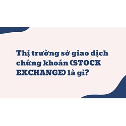Thị trường sở giao dịch chứng khoán (STOCK EXCHANGE) là gì ?