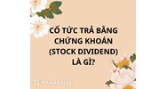 Cổ tức trả bằng chứng khoán là gì? Có các loại nào?