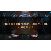 Phân tán rủi ro (SPREADING THE RISK) là gì ?