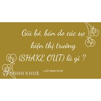 Giũ bỏ, bán do các sự kiện thị trường (SHAKE OUT) là gì ?
