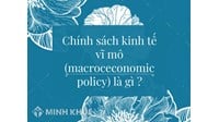 Chính sách kính tế vĩ mô (macroceconomic policy) là gì ?