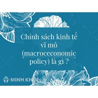 Chính sách kính tế vĩ mô (macroceconomic policy) là gì ?