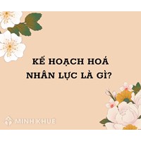 Kế hoạch hoá nhân lực (manpower planning) là gì ?