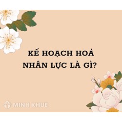 Kế hoạch hoá nhân lực (manpower planning) là gì ?