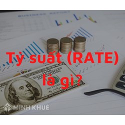Tỷ suất (RATE) là gì? Các loại tỷ suất lợi nhuận ROS, ROE, ROA