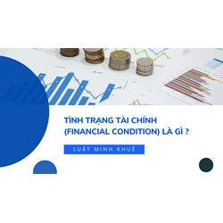 Tình trạng tài chính (FINANCIAL CONDITION) là gì ?