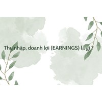 Thu nhập, doanh lợi (EARNINGS) là gì ?