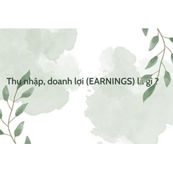 Thu nhập, doanh lợi (EARNINGS) là gì ?