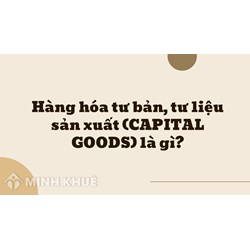Hàng hóa tư bản, tư liệu sản xuất (CAPITAL GOODS) là gì ?