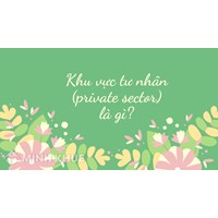 Khu vực tư nhân (private sector) là gì ?