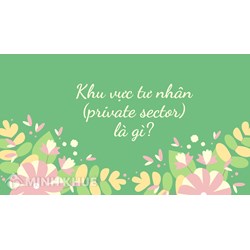 Khu vực tư nhân (private sector) là gì ?