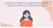 Sự phân bổ nguồn lực, quá trình phân bổ nguồn lực (resource allocation) là gì ?