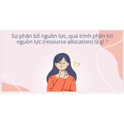 Sự phân bổ nguồn lực, quá trình phân bổ nguồn lực (resource allocation) là gì ?