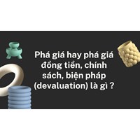 Phá giá hay phá giá đồng tiền, chính sách, biện pháp (devaluation) là gì ?