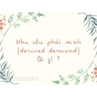 Nhu cầu phái sinh (derived demand) là gì ?