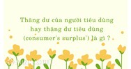 Thặng dư tiêu dùng là gì? Công thức tính thặng dư tiêu dùng