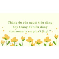 Thặng dư tiêu dùng là gì? Công thức tính thặng dư tiêu dùng