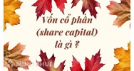 Vốn cổ phần (share capital) là gì ?