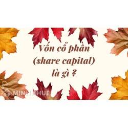 Vốn cổ phần (share capital) là gì ?