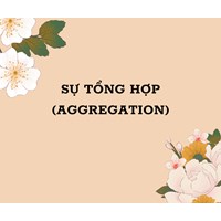 Tổng hợp, sự (aggregation) là gì ?