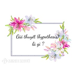 Giả thuyết (hypothesis) là gì ?