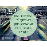 Tính phi kính tế quy mô (diseconomies of scale) là gì ?