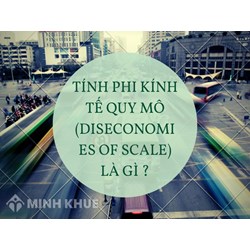 Tính phi kính tế quy mô (diseconomies of scale) là gì ?