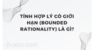 Tính hợp lý có giới hạn (bounded rationality) là gì ?