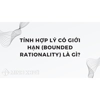 Tính hợp lý có giới hạn (bounded rationality) là gì ?