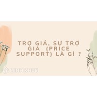 Trợ giá, sự trợ giá (price support) là gì ?