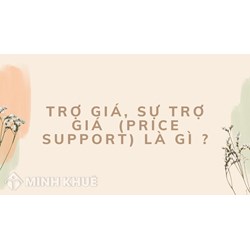 Trợ giá, sự trợ giá (price support) là gì ?