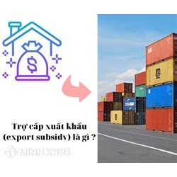 Trợ cấp xuất khẩu (export subsidy) là gì ?
