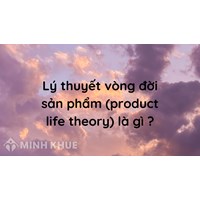 Lý thuyết vòng đời sản phẩm (product life theory) là gì ?