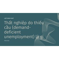 Thất nghiệp do thiếu cầu là gì? Demand deficient unemployment là gì?