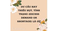 Dư cầu hay thiếu hụt, tình trạng (excess demand or shortage) là gì ?
