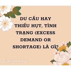 Dư cầu hay thiếu hụt, tình trạng (excess demand or shortage) là gì ?