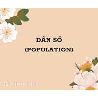 Dân số là gì? Đặc điểm, vai trò và tác động của dân số
