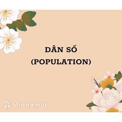 Dân số là gì? Đặc điểm, vai trò và tác động của dân số