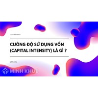 Cường độ sử dụng vốn là gì? Capital intensity nghĩa là gì?